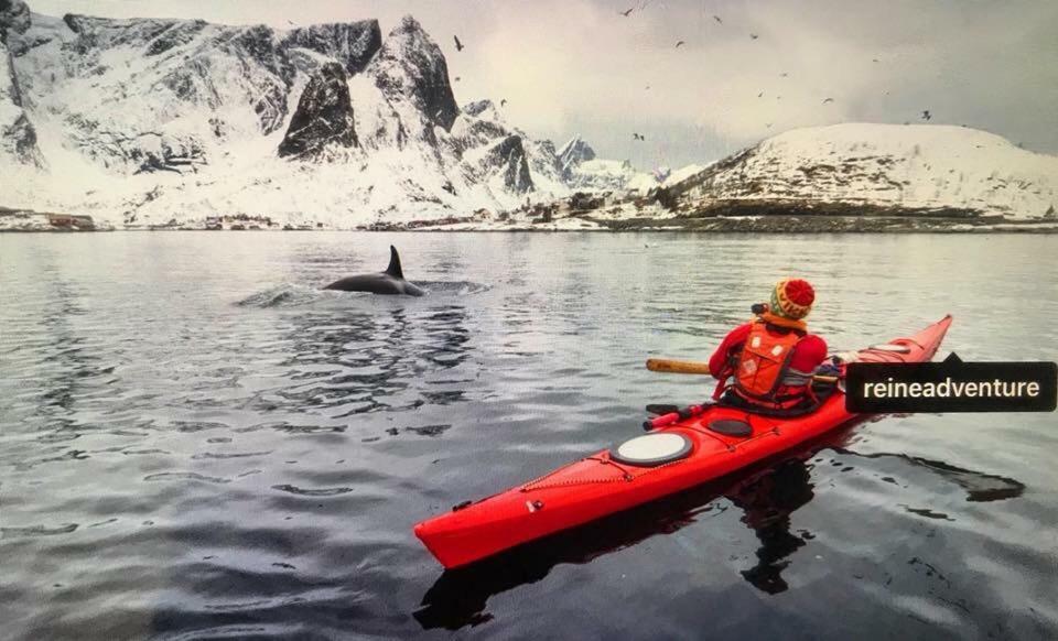 Cozy Apartment In The Middle Of Lofoten 레크네스 외부 사진